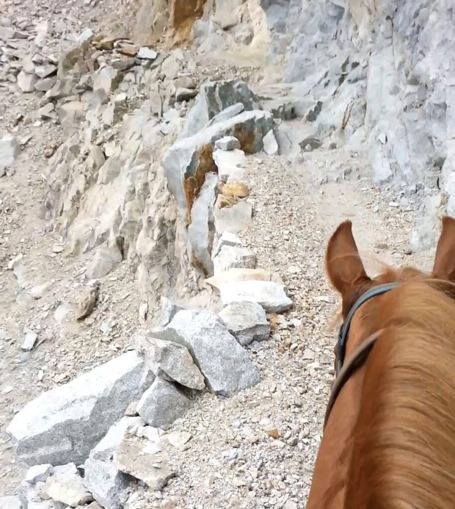 screenshot 20260305 122925 gallery